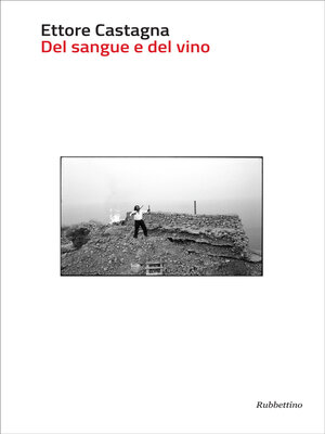 cover image of Del sangue e del vino
